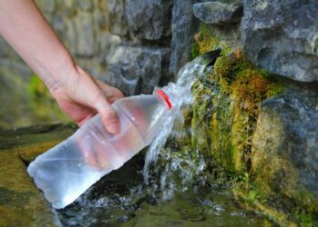 Петербург отправляется на поиски чистой воды