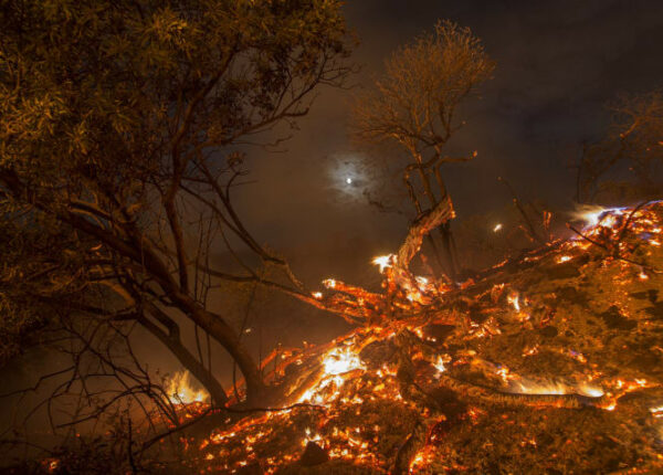 В Лос-Анджелесе борются с сильнейшим природным пожаром в истории округа