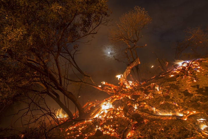 Фотография: В Лос-Анджелесе борются с сильнейшим природным пожаром в истории округа №1 - BigPicture.ru