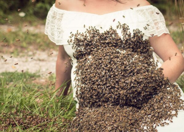 Жу-жу-жутковатые кадры: беременная американка устроила фотосессию с роем пчел
