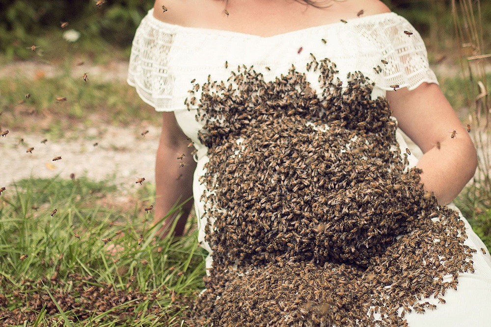 Фотография: Жу-жу-жутковатые кадры: беременная американка устроила фотосессию с роем пчел №1 - BigPicture.ru