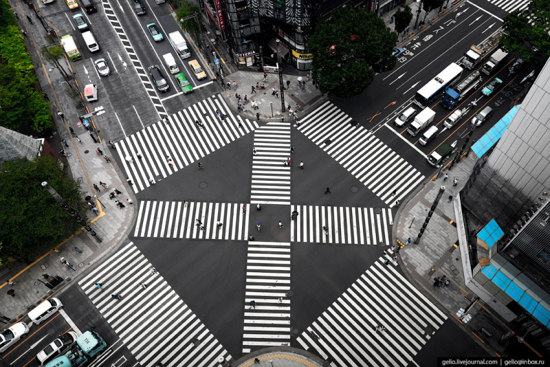 Фотография: Токио с высоты: как устроена столица Японии №10 - BigPicture.ru