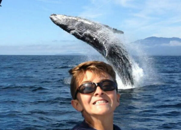 11-летний парень показал миру, как надо делать фото с китом