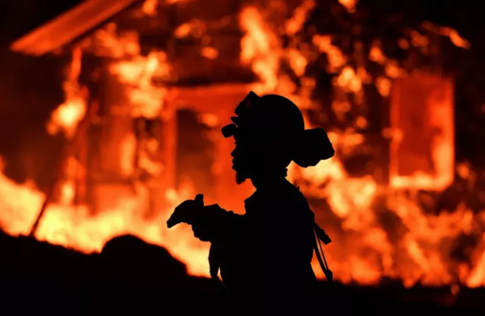 Фотография: В Калифорнии горят виноградники: уничтожено полторы тысячи домов, есть погибшие №2 - BigPicture.ru