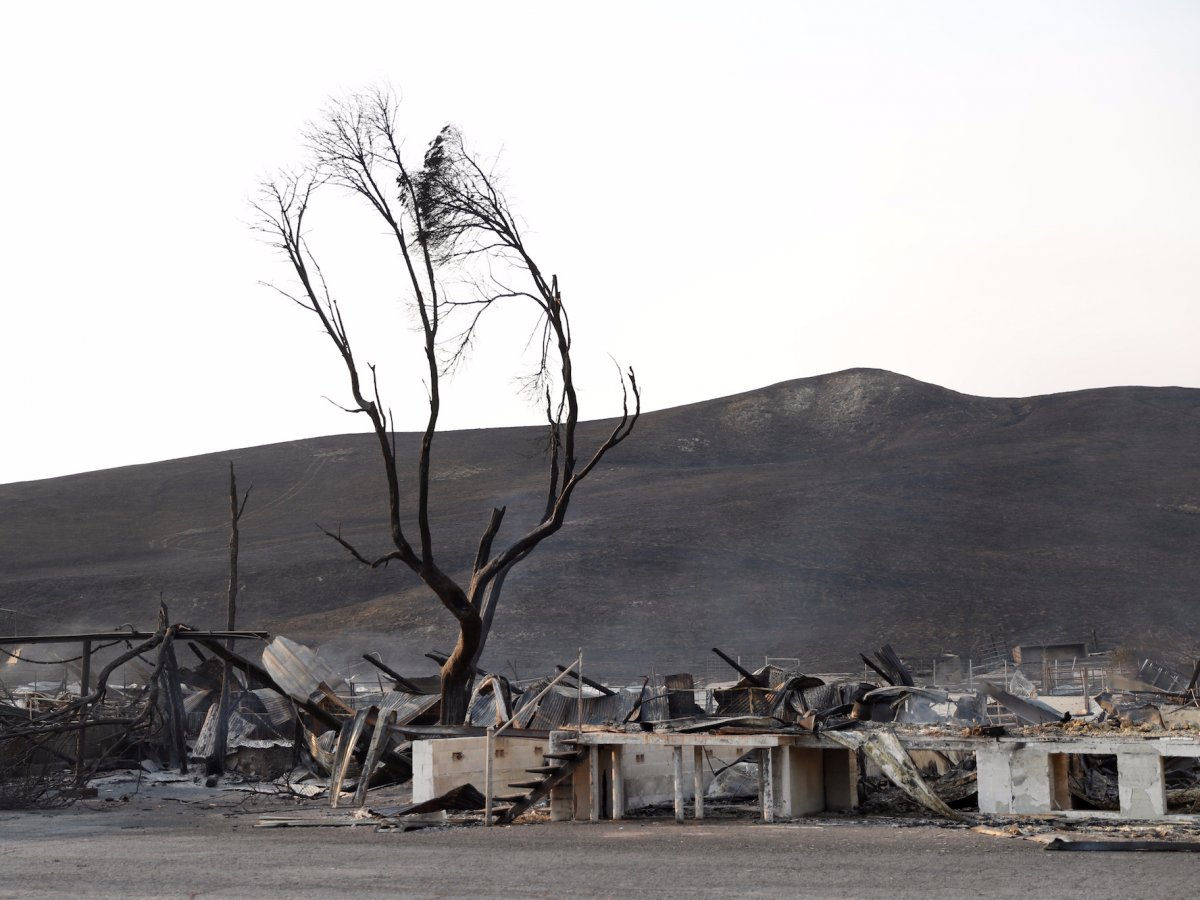 Фотография: Разруха, пепел и дым: апокалиптические фотографии Калифорнии до и после лесных пожаров №19 - BigPicture.ru