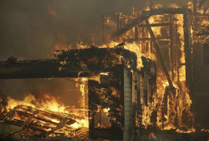 Фотография: В Калифорнии горят виноградники: уничтожено полторы тысячи домов, есть погибшие №3 - BigPicture.ru
