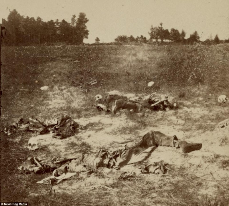Фотография: Ужасающие фотографии жертв самой кровопролитной войны в истории США №20 - BigPicture.ru