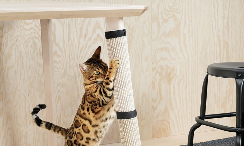 Фотография: IKEA выпустила коллекцию мебели для домашних животных №2 - BigPicture.ru