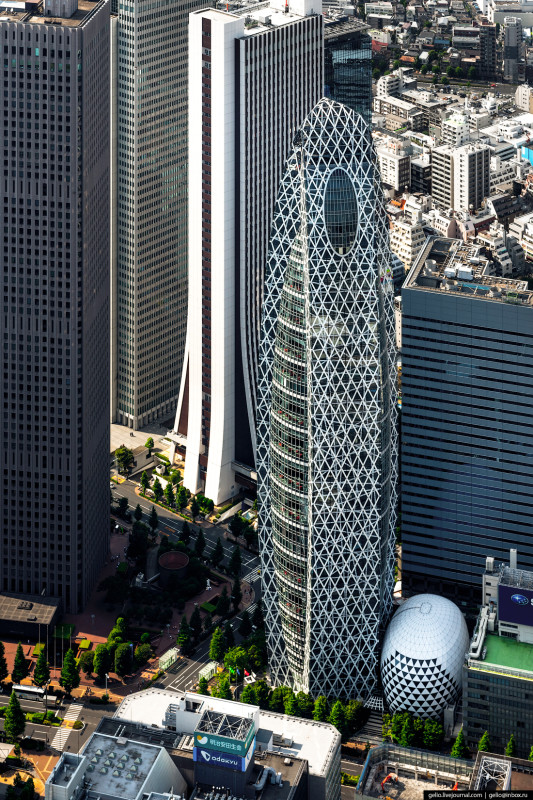 Фотография: Токио с высоты: как устроена столица Японии №26 - BigPicture.ru