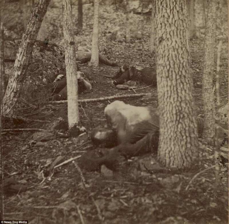 Фотография: Ужасающие фотографии жертв самой кровопролитной войны в истории США №19 - BigPicture.ru