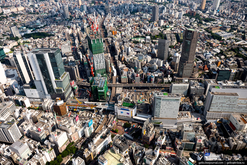 Фотография: Токио с высоты: как устроена столица Японии №28 - BigPicture.ru