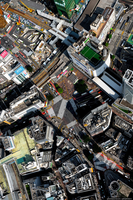 Фотография: Токио с высоты: как устроена столица Японии №29 - BigPicture.ru