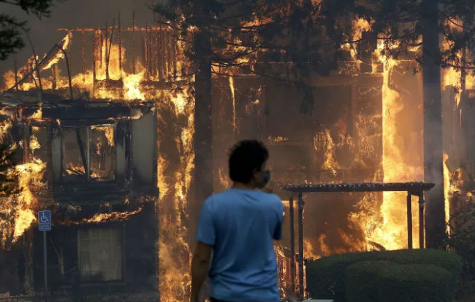Фотография: В Калифорнии горят виноградники: уничтожено полторы тысячи домов, есть погибшие №4 - BigPicture.ru