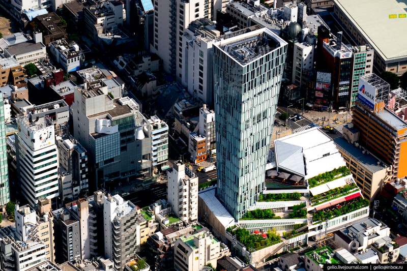 Фотография: Токио с высоты: как устроена столица Японии №46 - BigPicture.ru