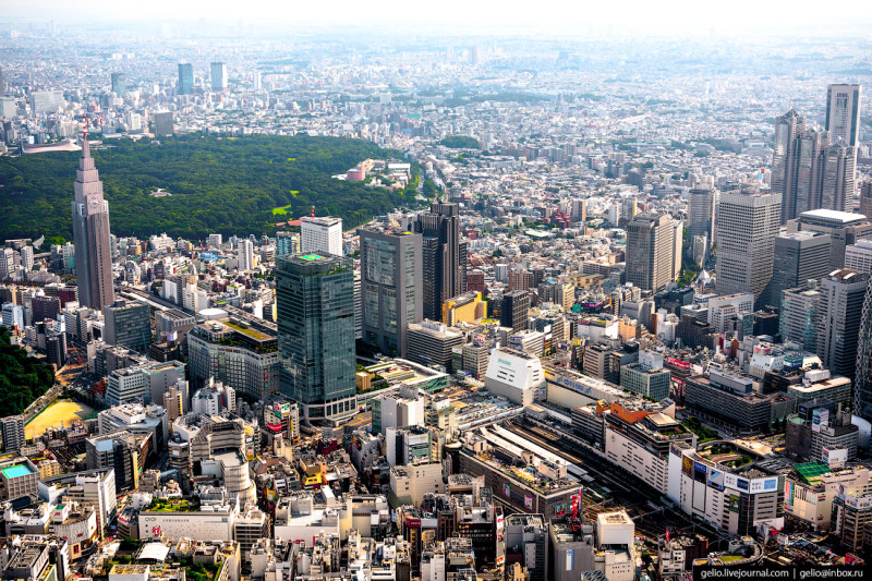 Фотография: Токио с высоты: как устроена столица Японии №50 - BigPicture.ru