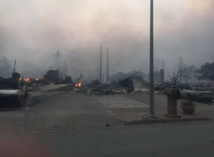 Фотография: В Калифорнии горят виноградники: уничтожено полторы тысячи домов, есть погибшие №6 - BigPicture.ru