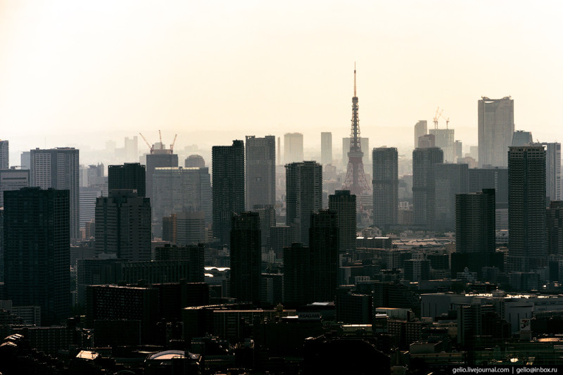Фотография: Токио с высоты: как устроена столица Японии №57 - BigPicture.ru