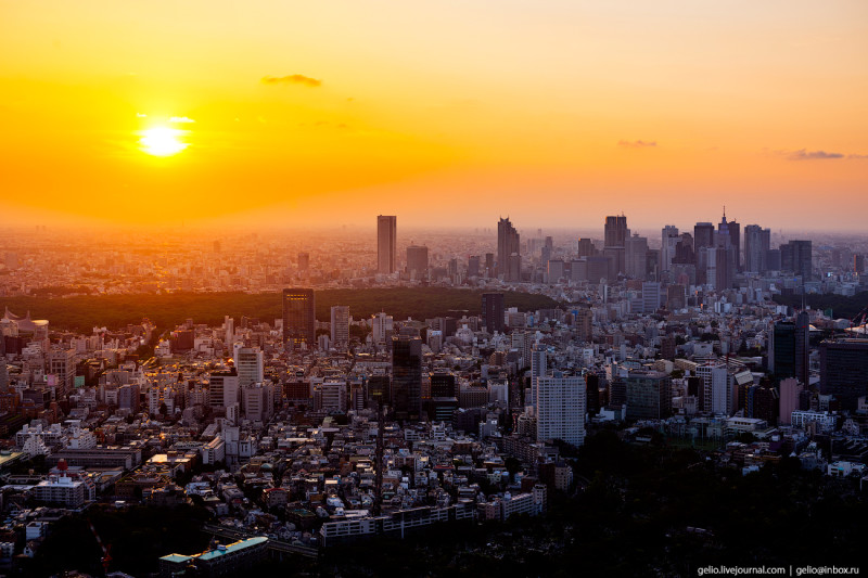 Фотография: Токио с высоты: как устроена столица Японии №63 - BigPicture.ru