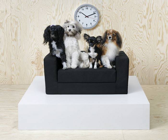 Фотография: IKEA выпустила коллекцию мебели для домашних животных №3 - BigPicture.ru