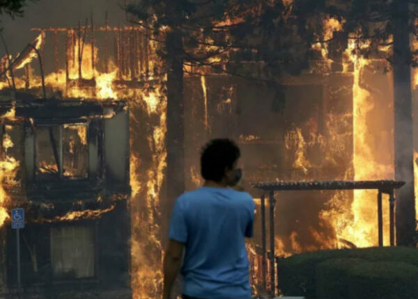 В Калифорнии горят виноградники: уничтожено полторы тысячи домов, есть погибшие