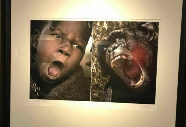 В Китае закрыли фотовыставку, где африканцев сравнили с дикими животными