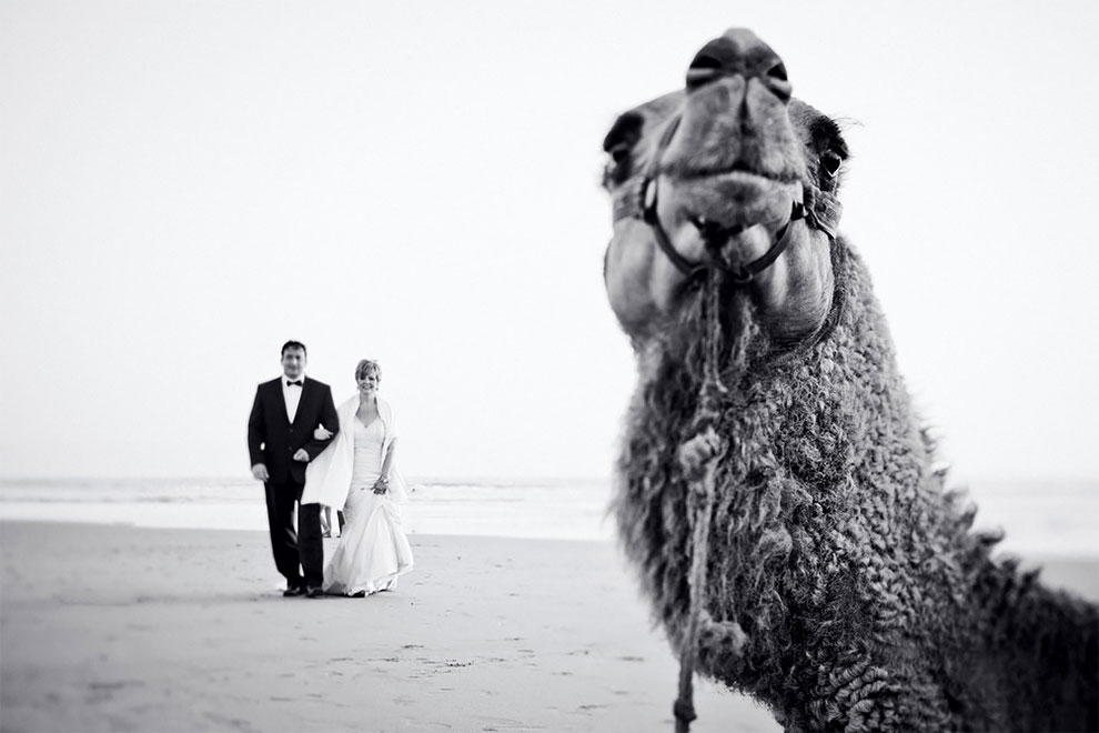 Фотография: 12 свадебных фотографий, которые испортила какая-то скотина №11 - BigPicture.ru
