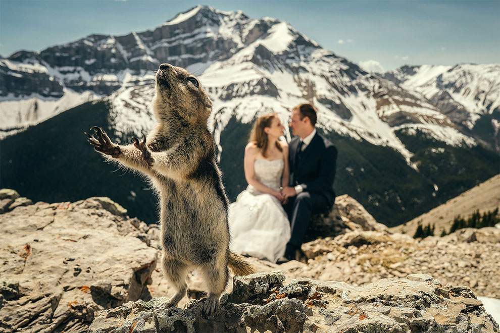 Фотография: 12 свадебных фотографий, которые испортила какая-то скотина №12 - BigPicture.ru