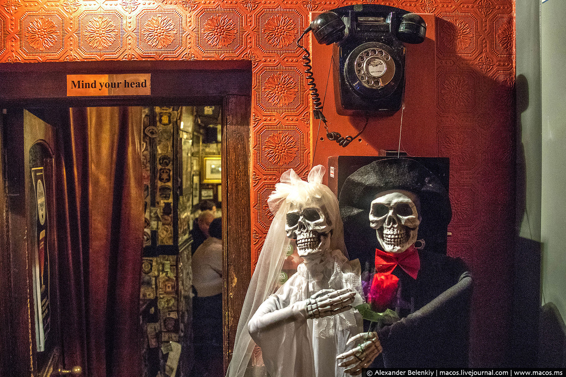 Фотография: Пороки ночного Дублина: пьяный Хэллоуин в церкви и бомжи в галстуках №15 - BigPicture.ru