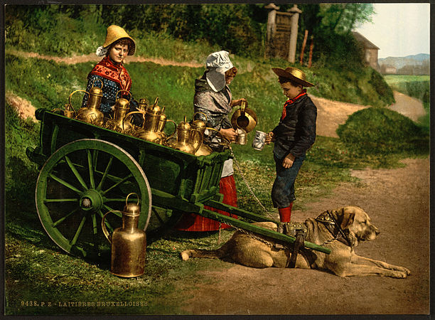 Фотография: Уникальные фотографии 1890-х годов, раскрашенные вручную №14 - BigPicture.ru