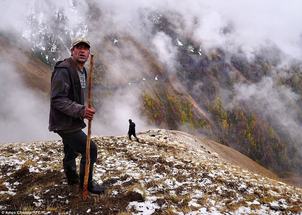 Фотография: Каждый год тысячи овец в Грузии совершают опасный путь с гор высотой 3000 метров №19 - BigPicture.ru