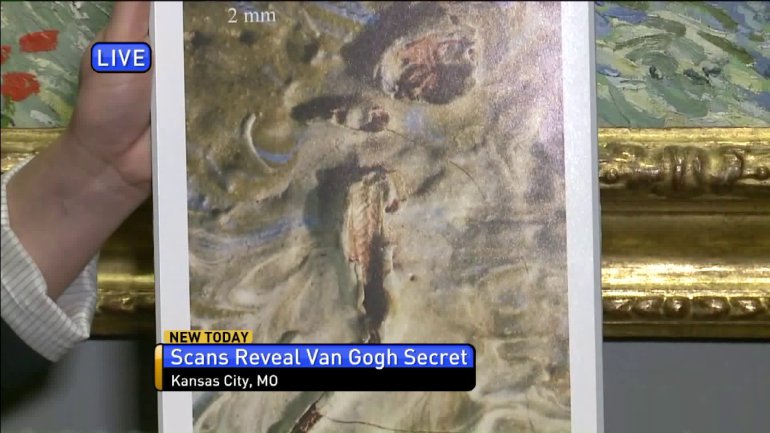 Фотография: На холсте Ван Гога нашли кузнечика, умершего 128 лет назад №2 - BigPicture.ru