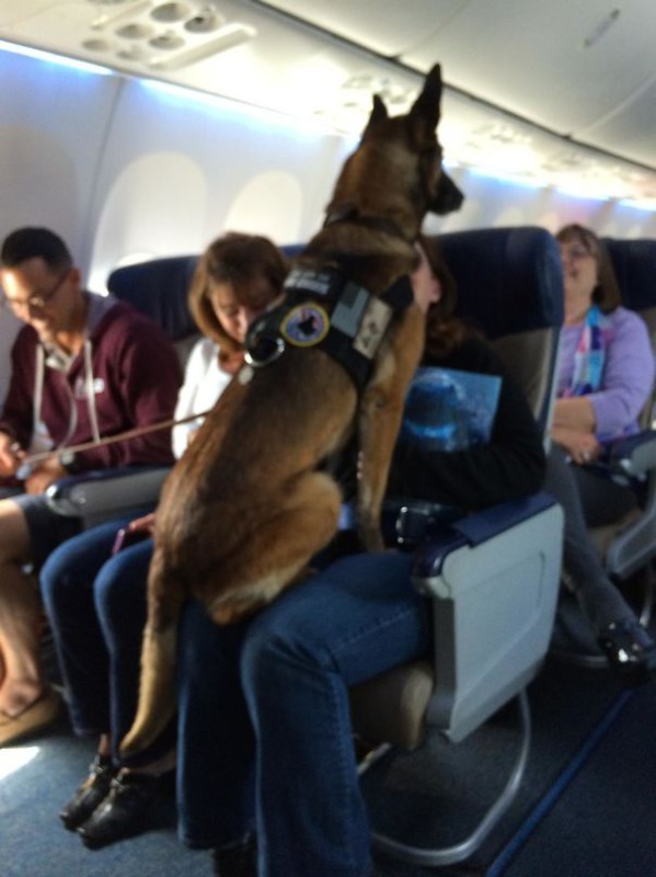 Фотография: Пользователи сети поделились фотографиями странных соседей в самолетах №4 - BigPicture.ru