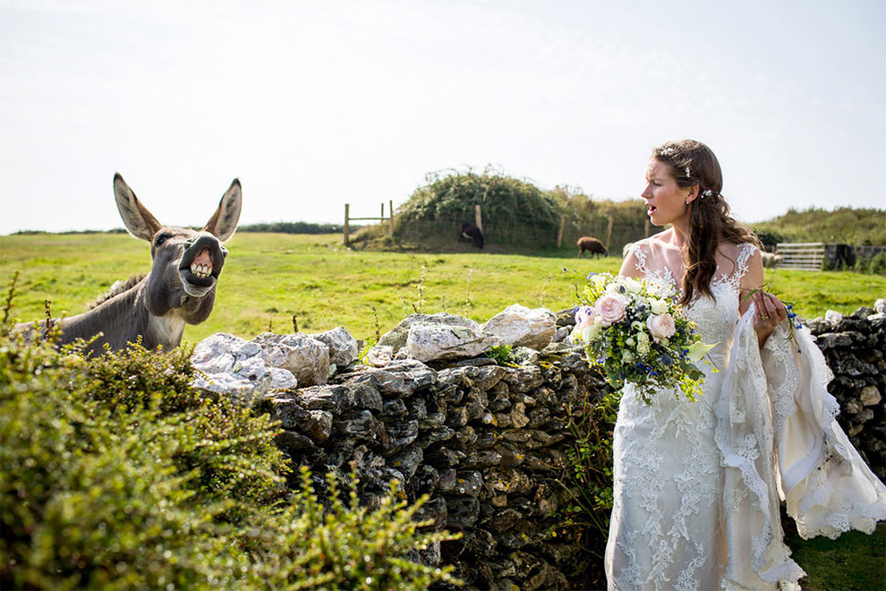 Фотография: 12 свадебных фотографий, которые испортила какая-то скотина №5 - BigPicture.ru