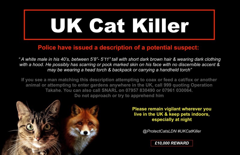 Фотография: В Лондоне ищут маньяка, который за 2 года убил более 360 животных №2 - BigPicture.ru