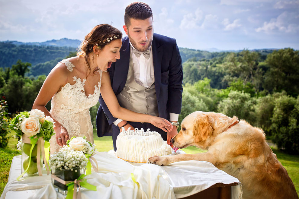 Фотография: 12 свадебных фотографий, которые испортила какая-то скотина №8 - BigPicture.ru