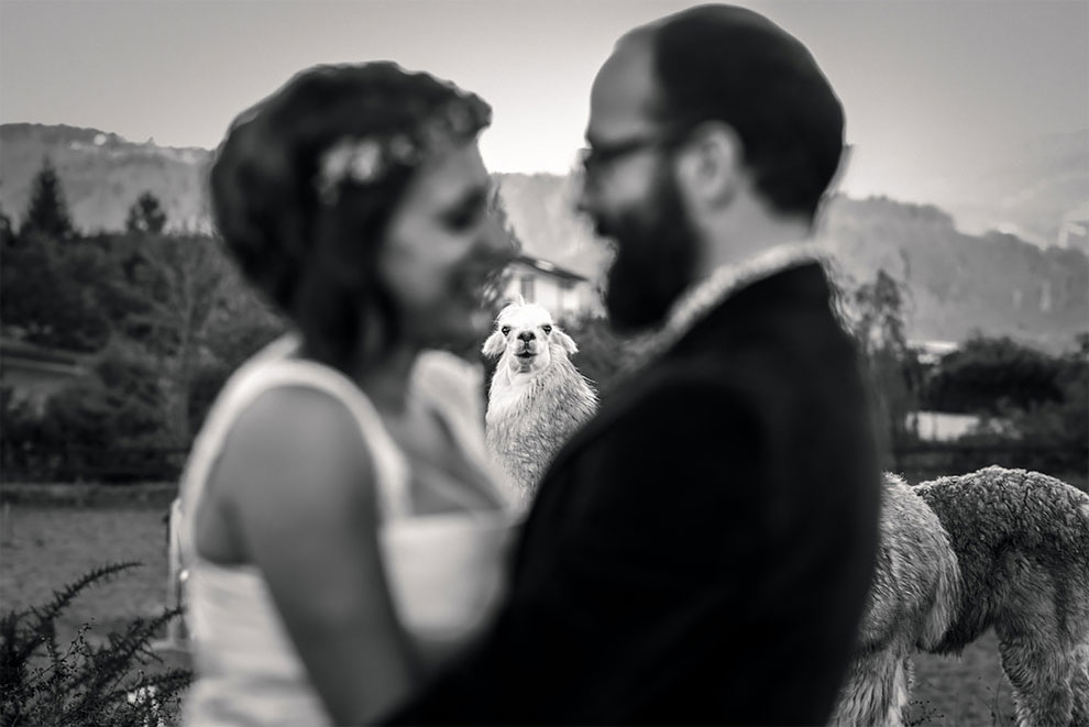 Фотография: 12 свадебных фотографий, которые испортила какая-то скотина №9 - BigPicture.ru