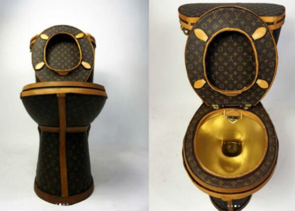 В США за 100 тысяч долларов продается золотой унитаз, обтянутый сумками Louis Vuitton