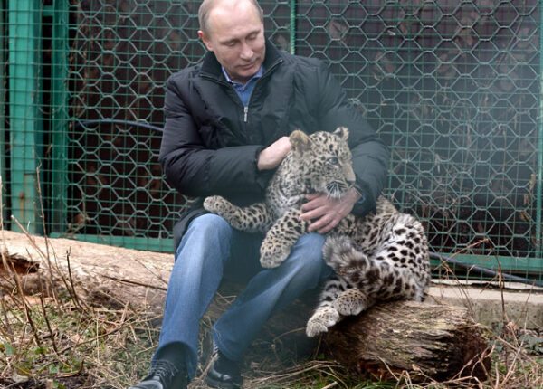 В абхазском селе поймали «леопарда Путина», который воровал кур