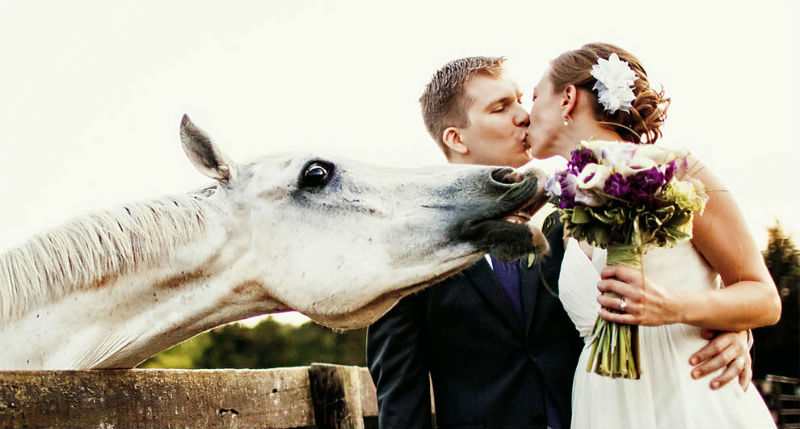 Фотография: 12 свадебных фотографий, которые испортила какая-то скотина №1 - BigPicture.ru