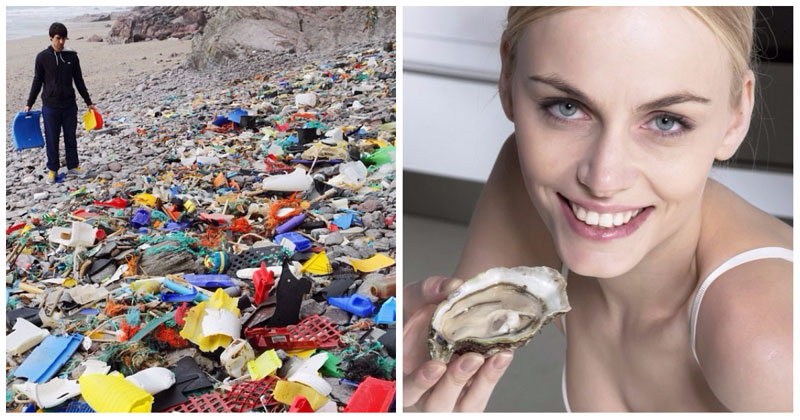 Фотография: Любите морепродукты? Тогда вы регулярно едите пластик №1 - BigPicture.ru