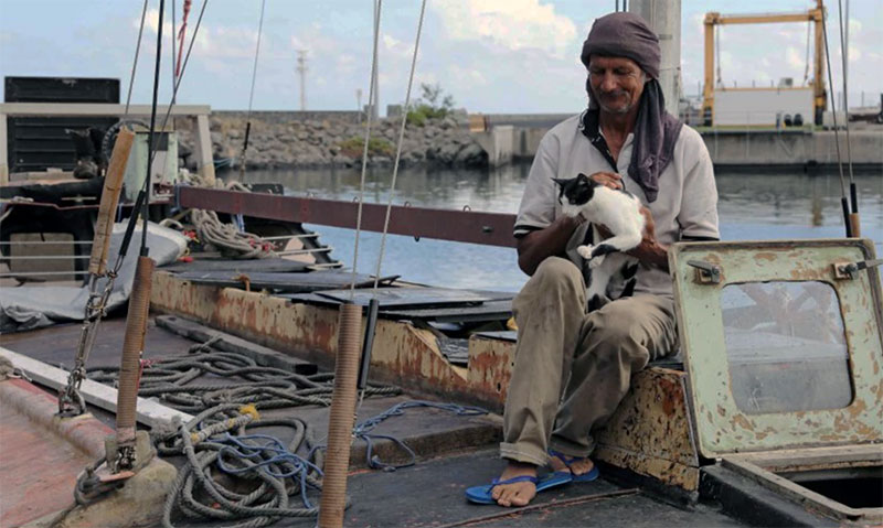 Фотография: Поляк 7 месяцев дрейфовал в океане в компании кошки №1 - BigPicture.ru