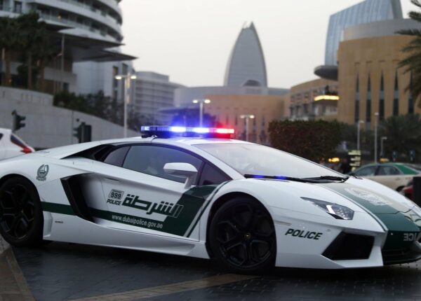 Полиция Дубая оштрафовала водителя прямо в инстаграме