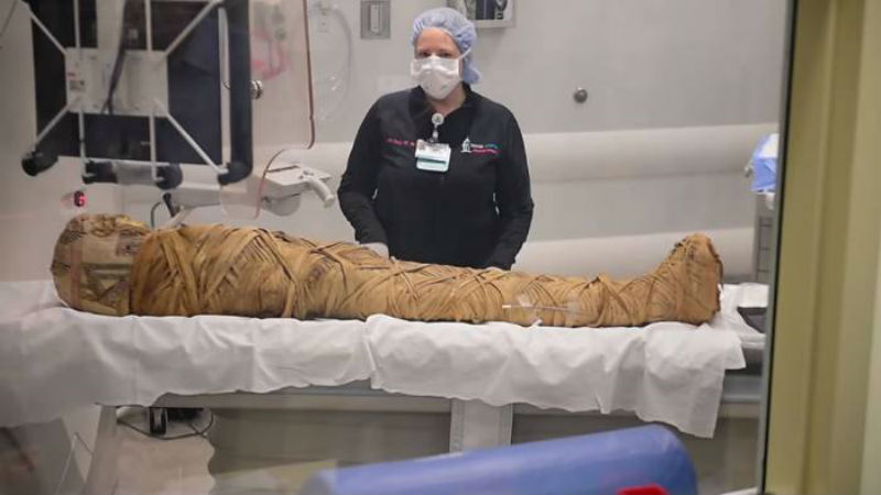 Фотография: Врачи обнаружили у египетской мумии рак через 2000 лет после смерти №1 - BigPicture.ru
