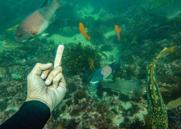 Аквалангист показывает средний палец рыбам и кроет их матом