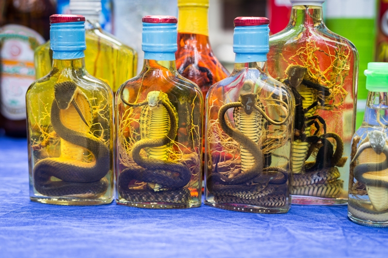 Фотография: Пиво из слоновьего навоза и мошонка кенгуру: 9 самых странных сувениров №7 - BigPicture.ru