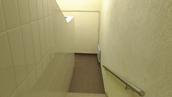 Фотография: В Москве обнаружен идеальный общественный туалет: чистый, антивандальный и с цветами №3 - BigPicture.ru