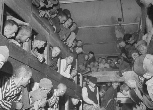 «Подумайте, как мы умирали»: история ужасов в концлагере Дахау