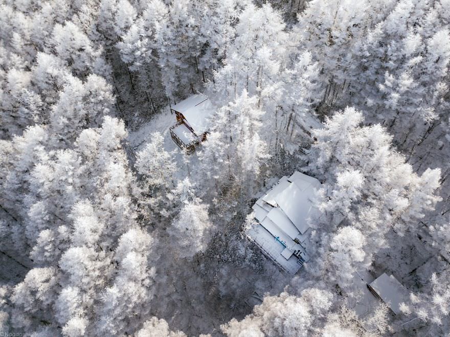 Фотография: Снежная сказка: невероятно красивая зима в Японии №21 - BigPicture.ru