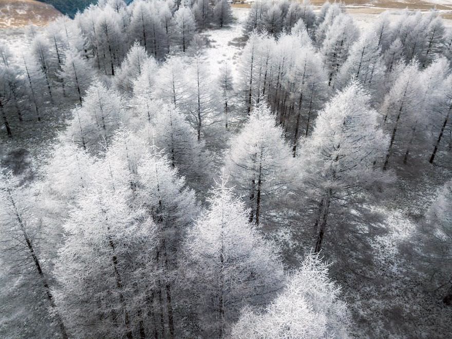 Снежная сказка — невероятно красивая зима в Японии