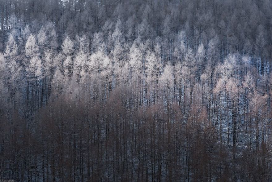 Фотография: Снежная сказка: невероятно красивая зима в Японии №26 - BigPicture.ru